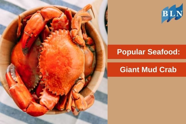 Meet Giant Mud Crab and Why It's a Popular Seafood Item 